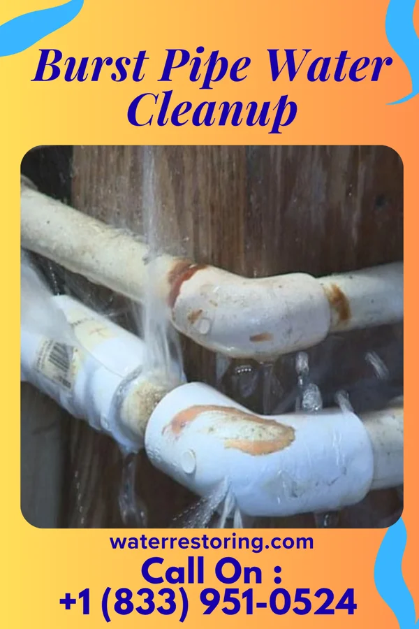 Burst Pipe Water Cleanup in Coronaca, SC