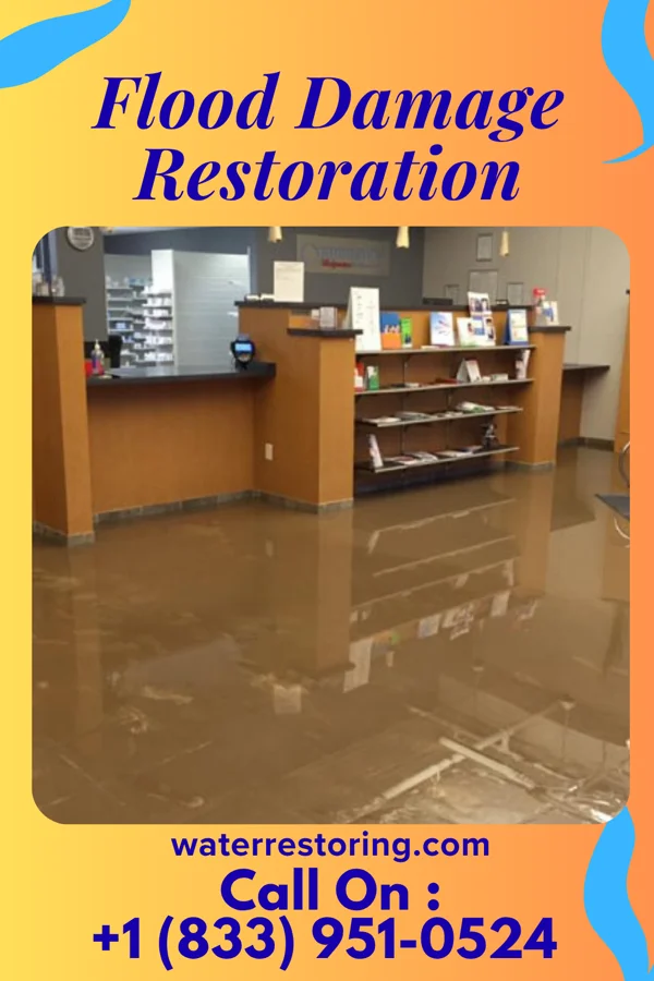 Flood Damage Restoration in Coronaca, SC