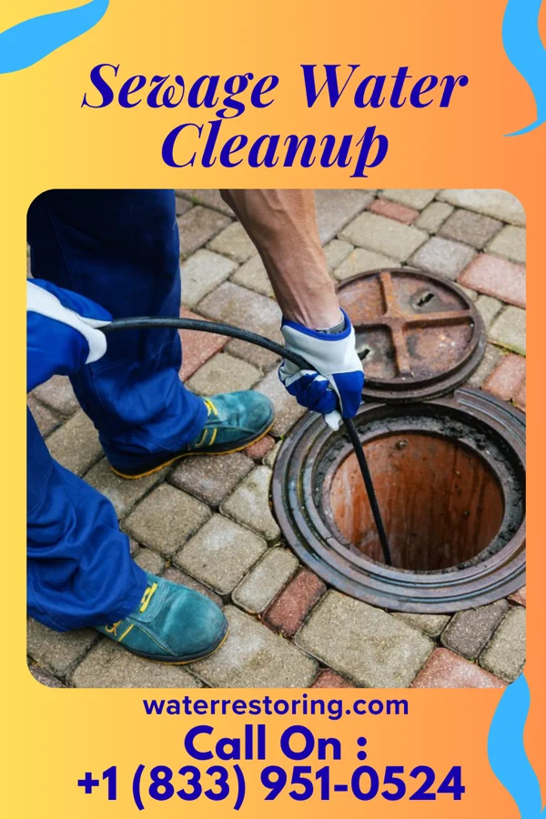 Sewage Water Cleanup in Coronaca, SC