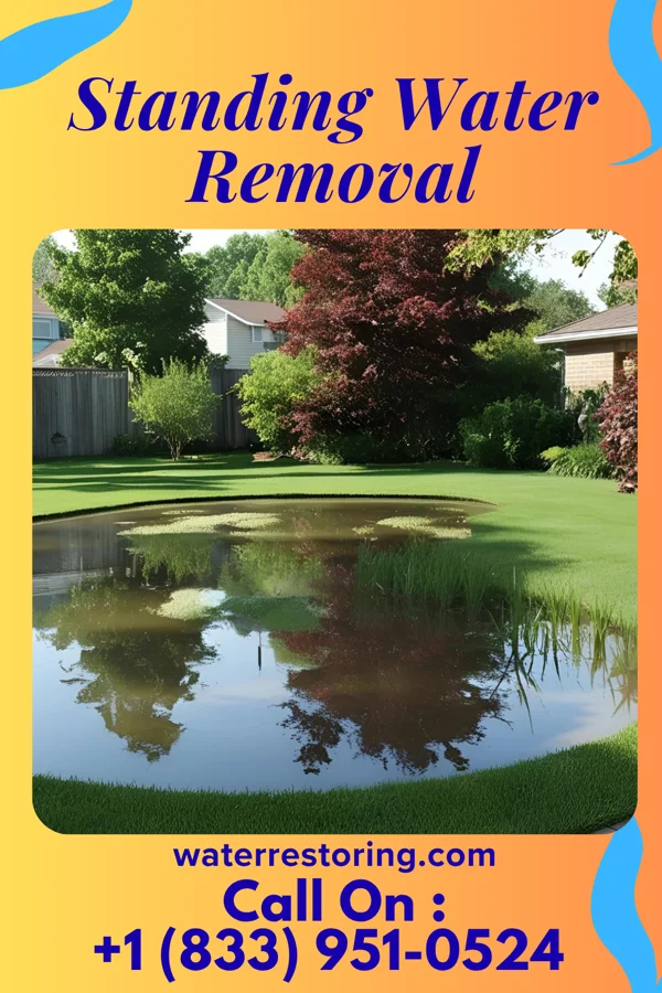 Standing Water Removal in Coronaca, SC